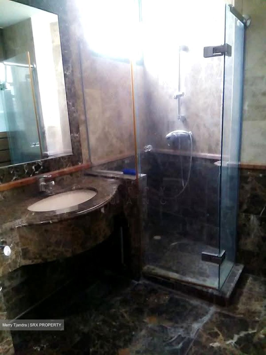 Signature Park (D21), Condominium #629930831